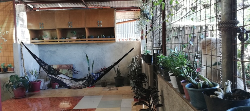 Tribuhaus Backpackers Inn, Ла Тринидад — фото 1