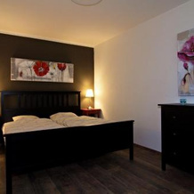 Apartmány Chata Švadlenka, Rokytnice nad Jizerou — photo 4