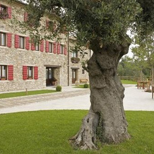 Agriturismo Althea, 维托里奥威尼托 — 照片 4