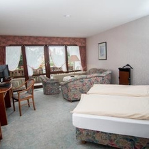Hotel Sonnenhof, 巴德萨克萨 — 照片 5