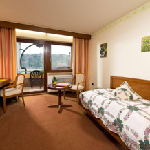 Silberkönig Schwarzwald Hotel Ringhotel, 古塔赫-伊姆-布赖斯高 — 照片 4