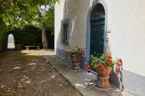 Tenuta Di Ghizzano, Печчоли — фото 1
