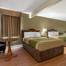 Econo Lodge Inn & Suites Lugoff, 拉戈夫 — 照片 5