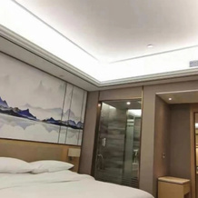 Vienna Hotel (Yizhou Sankeshu), Хэчи — фото 2
