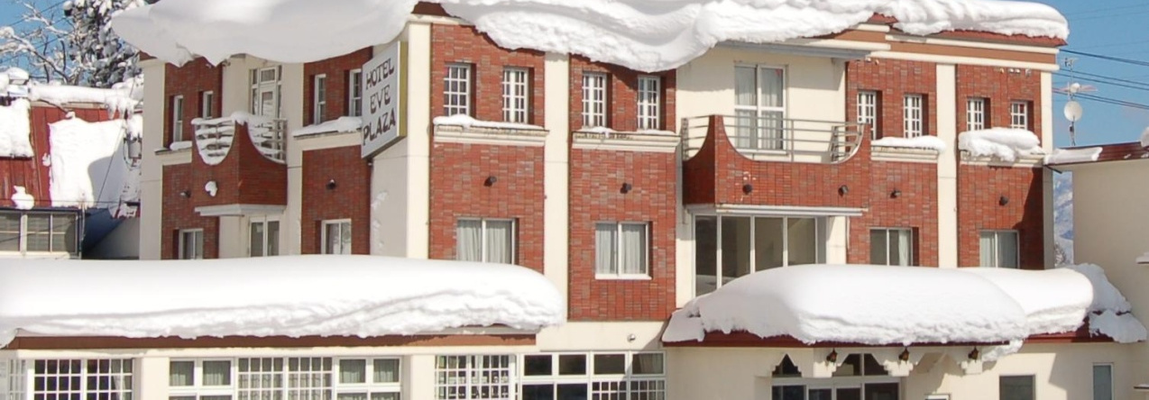 Hotel Eve Plaza, 大田 — 照片 1