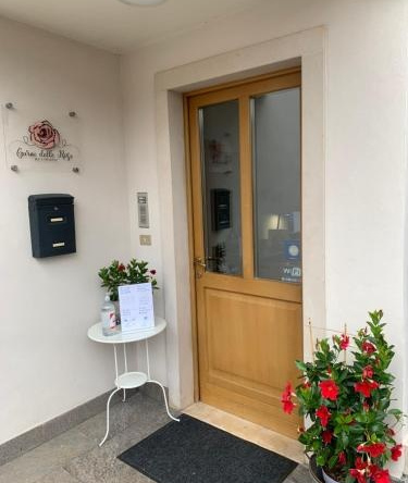Albergo Garnì Delle Rose, Дро — фото 1