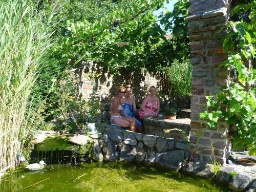 Pension Elfi, Маринг-Нофианд — фото 1