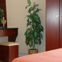 Hotel Neon Astron, 莫洛斯-圣康斯坦丁诺斯 — 照片 3