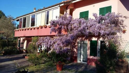 La Casa Rosa, Borghetto di Vara — photo 1