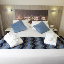Ibis Styles Lyon Gorge De Loup Saphir, Лион — фото 5