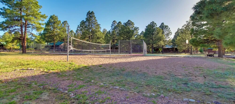 Near Sitgreaves Natl Park: High Country Farmhouse, Overgaard — фото 1