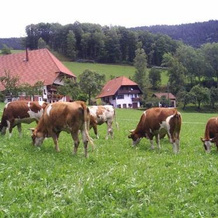 Deckerhof, 豪萨赫 — 照片 2