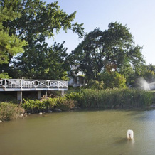 Dunstone Manor, 惠灵顿 — 照片 2