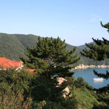 Windmill Hill Pension, Geoje — photo 2