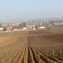 Gîte De La Croix Rameau, Восне-Романи — фото 5