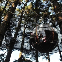 Les Nids Du Parcabout, Груа — фото 4