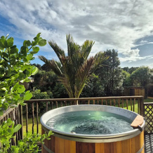 Nikauscapes - Hot Tub in Punakaiki village, 普纳凯基 — 照片 4
