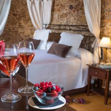 Hotel Restaurant Mas Roig - Adults only, 帕尔斯 — 照片 4