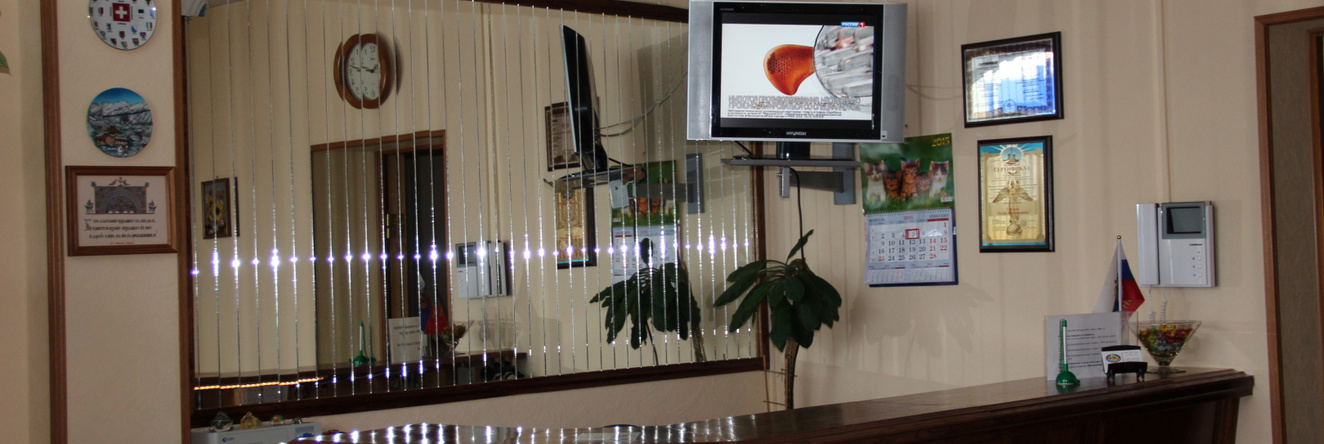 ViP Mini-Hotel, Klin — photo 1