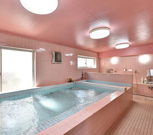 Yamaichi Ryokan, Хирацука — фото 1