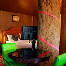 Seven Springs Plantation Resort, Munnar — photo 5