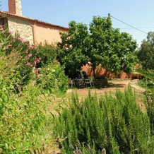 Casa Rural El Bujío, 阿尔坎塔拉的巴伦西亚 — 照片 2