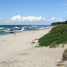 Cozy Holiday Home in Hasle near Baltic Sea, 哈斯勒 — 照片 5