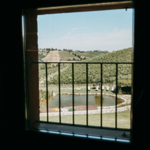 Corte d'Aibo, Monteveglio — photo 5