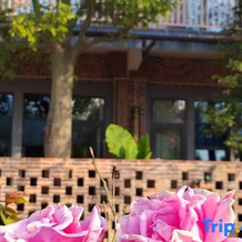 Huangyao Flowers Ocean Hotel, Хэчжоу — фото 2