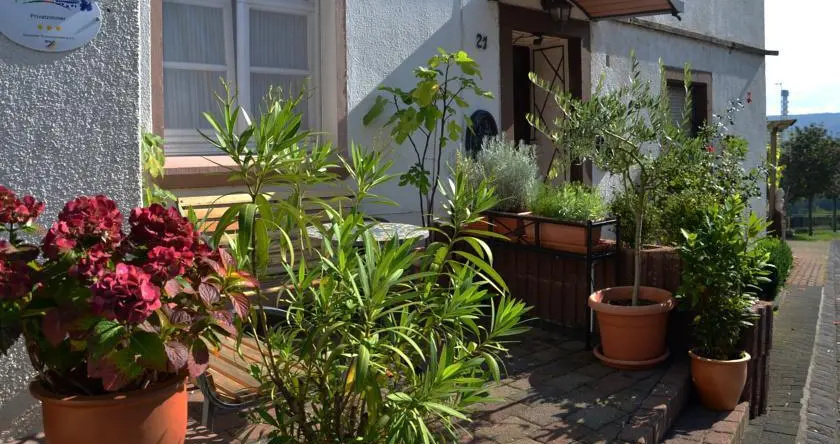 La Terrazza, 伊尔齐希 — 照片 1