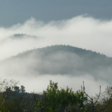 Al settimo cielo, Ficulle — photo 2
