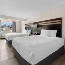 Days Inn By Wyndham Albany Suny, Макконвил — фото 4