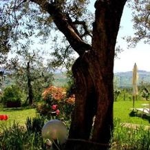 Bed and Breakfast di Montenero, Amelia — photo 4