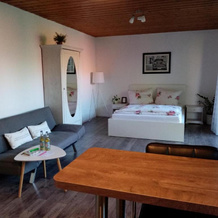 Schöne EinZimmer Wohnung Zwischen Bodensee und Allgäu, Neukirch — photo 4