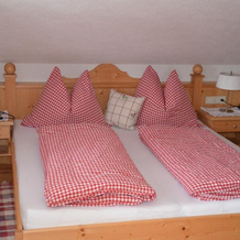 Bio-Bauernhof Nichlgut, Eben im Pongau — photo 4