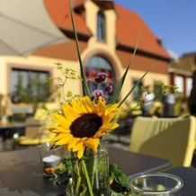Wohlfühlhotel Alte Rebschule, Rhodt unter Rietburg — photo 4