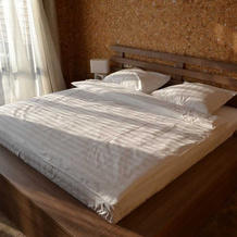 Doma Na Vode Hotel, Gribki — photo 2