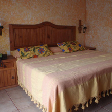 Natural Suites Hotel & Spa, 普埃布拉 — 照片 2