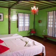 Amazon resort island, Careiro — photo 4