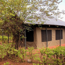 Eco Mara Forest Camp, Меру — фото 5