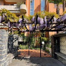 Ascona: ORTO DEGLI ANGIOLI, Ascona — photo 2