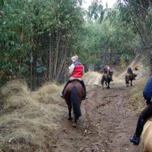 Posada Del Parque Lodge, Кинтеро — фото 2