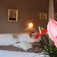 Auberge De Noves, Noves — photo 3