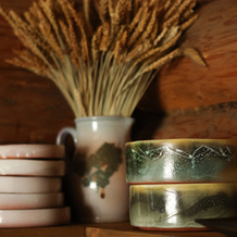 S Ptitsami v Kirillove Guest house, 基里洛夫 — 照片 2