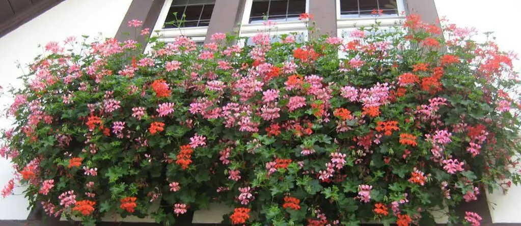 Boutique Hotel Waldhaus, 穆滕茨 — 照片 1