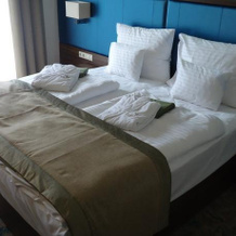 Barack Thermal Hotel and Spa, 蒂萨凯奇凯 — 照片 3