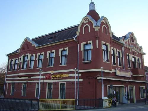 Vila Corviniana, Hunedoara — photo 1
