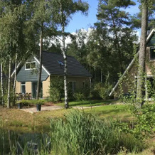 Roompot Landgoed Het Grote Zand, 腓特烈松 — 照片 3