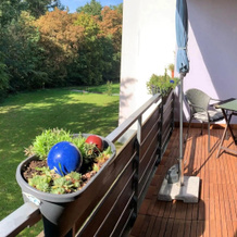Ferienwohnung Asal, Busenbach — photo 4