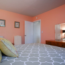 At Marbella Lane - Flamingo Lady, Sfo, Брисбен — фото 3